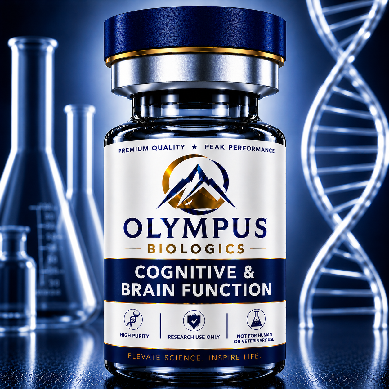 Cognitive & Brain Function Research Stack