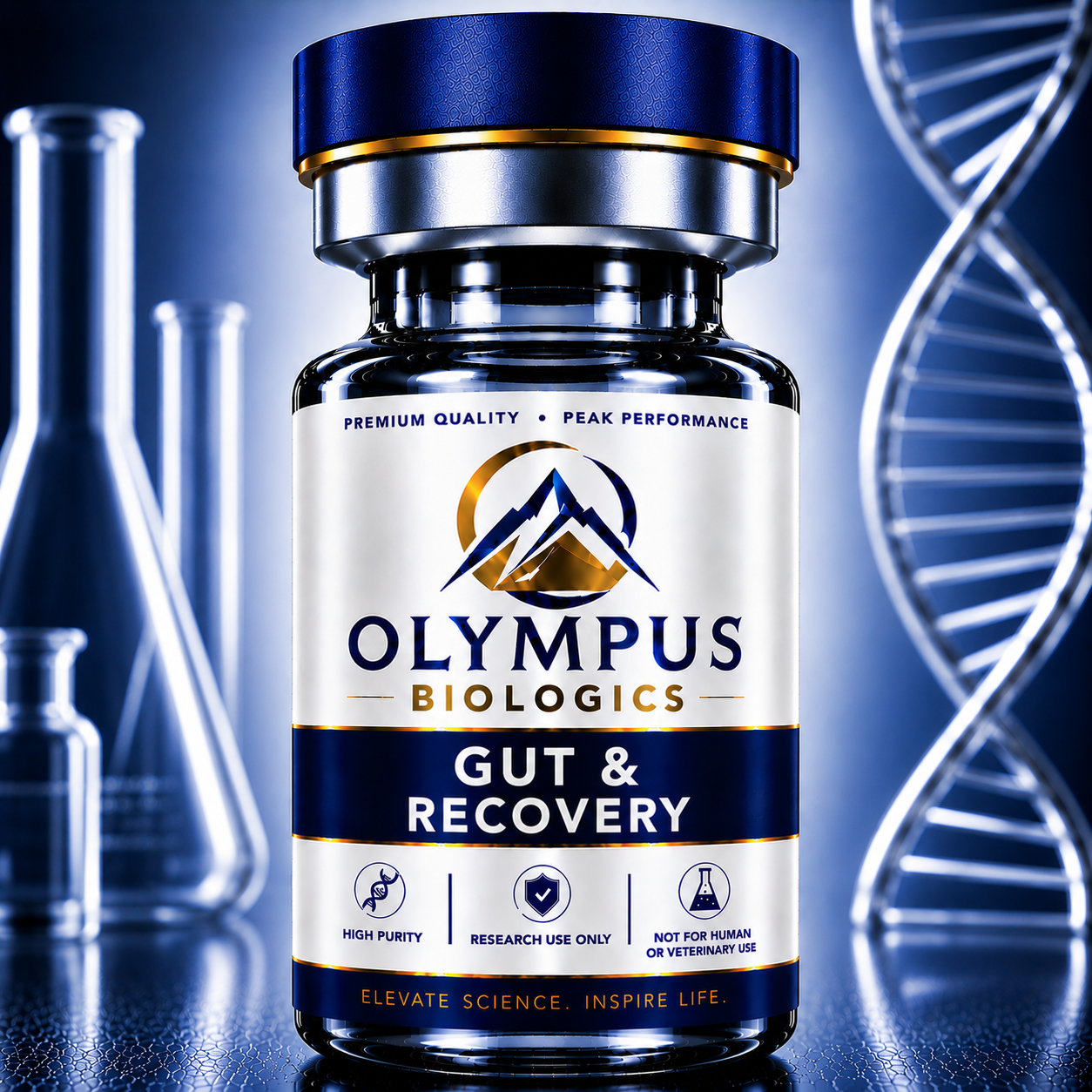Gut & Recovery Research Stack